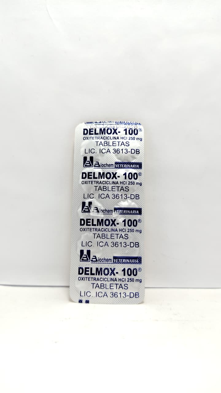 DELMOX - 100 10 TABLETAS
