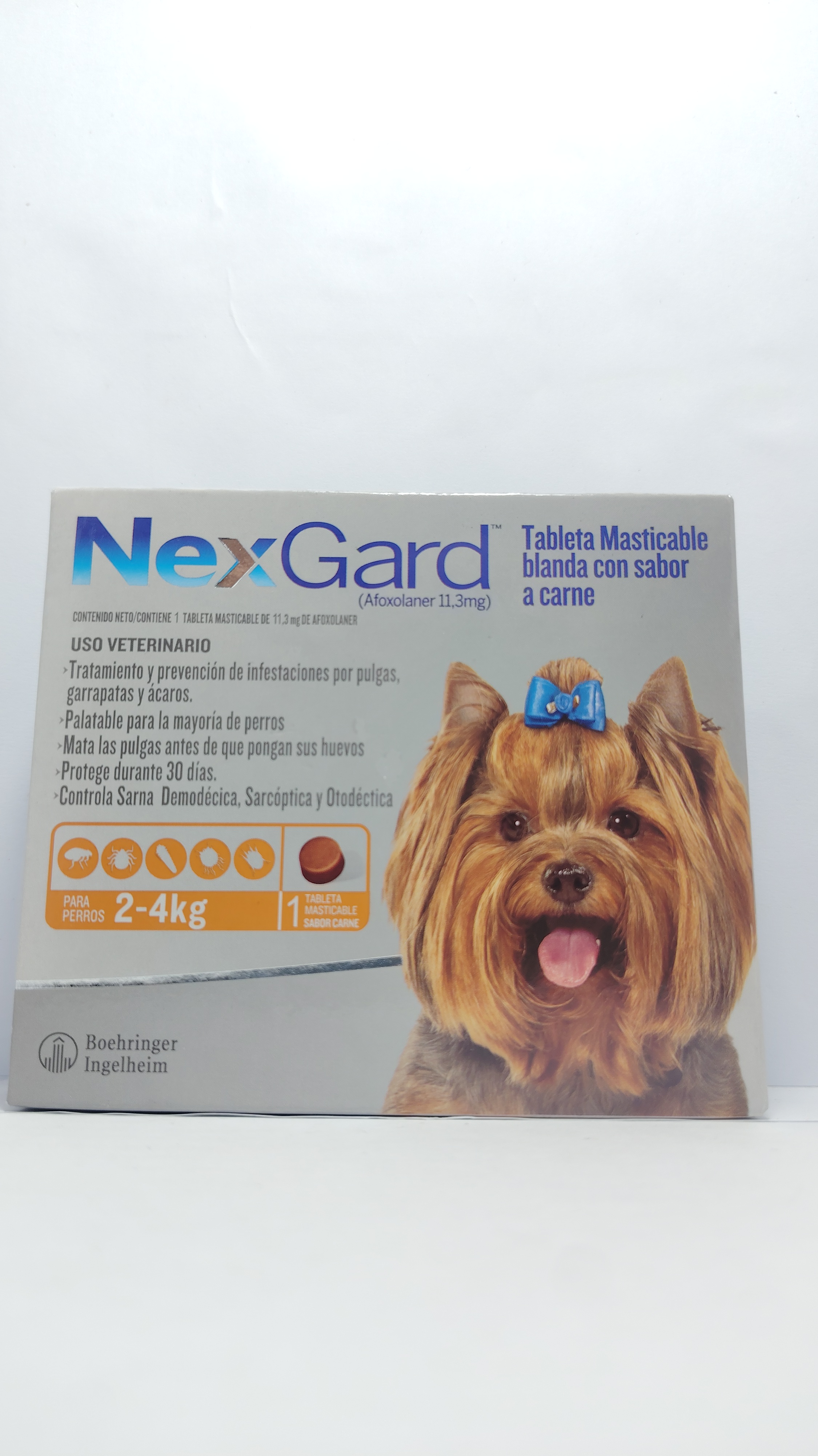 NEXGARD PERRO 2 A 4 KG
