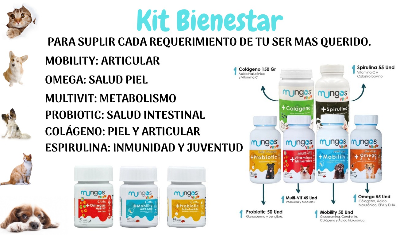 Productos para gatos
