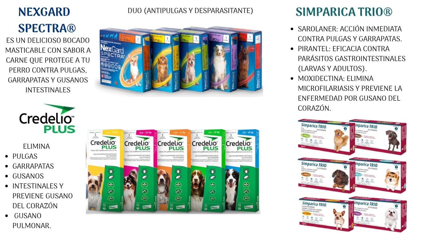 Productos para gatos