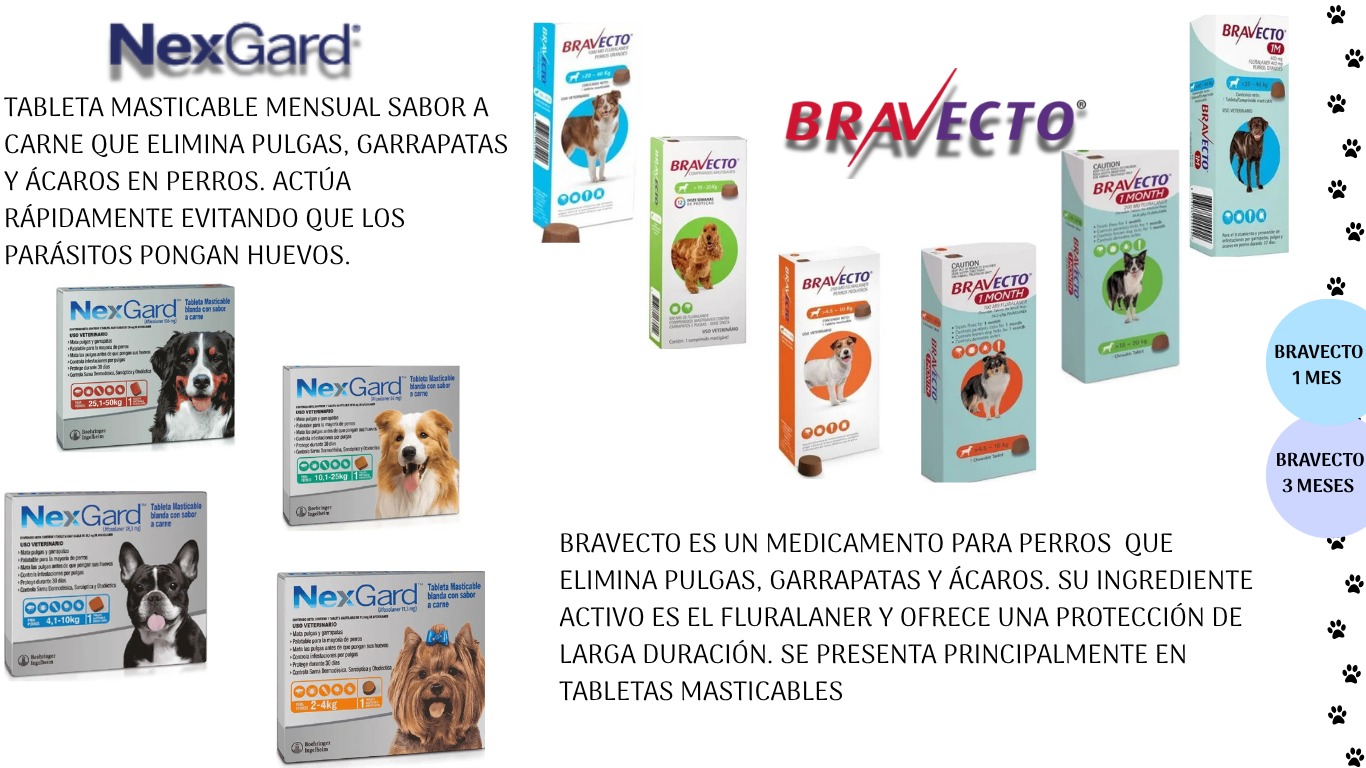 Cuidado veterinario